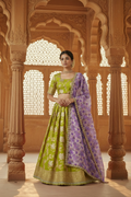 Golden Khadi Lehenga Set Olive Green - palace editorial shot