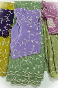 Tissue Saree Image 3